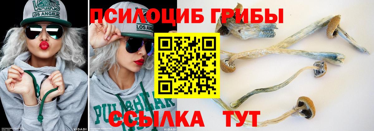 Галлюциногенные грибы мухоморы  Галлюциногенные грибы GOLDEN TEACHER  Вход с VPN  Балахна 